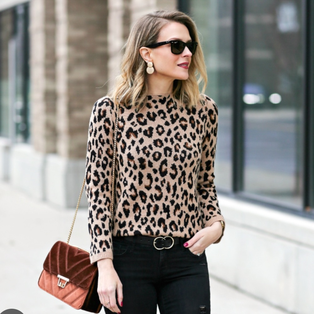 Ann Taylor Leopard Mockneck Sweater